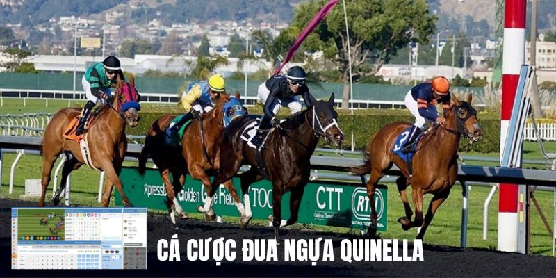 Cá độ đua ngựa Quinella